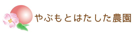 やぶもとはたした農園