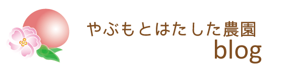 やぶもとはたした農園　ブログ